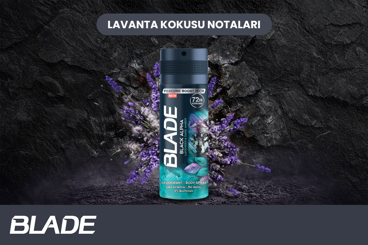 Lavanta Kokusu Nedir
